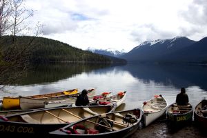 setting up the fleet