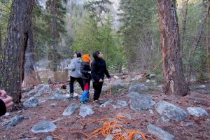 learning to bear cache