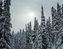 beautiful manning park